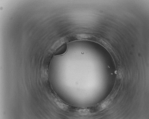 X0000062140426200512161222