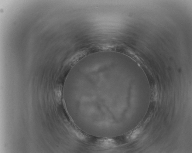 X0000062140427200512161222