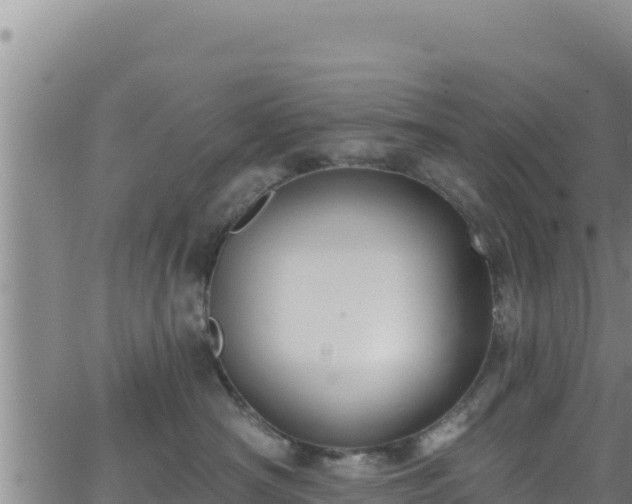 X0000062140430200512161222