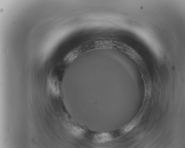 X0000062140431200512161222