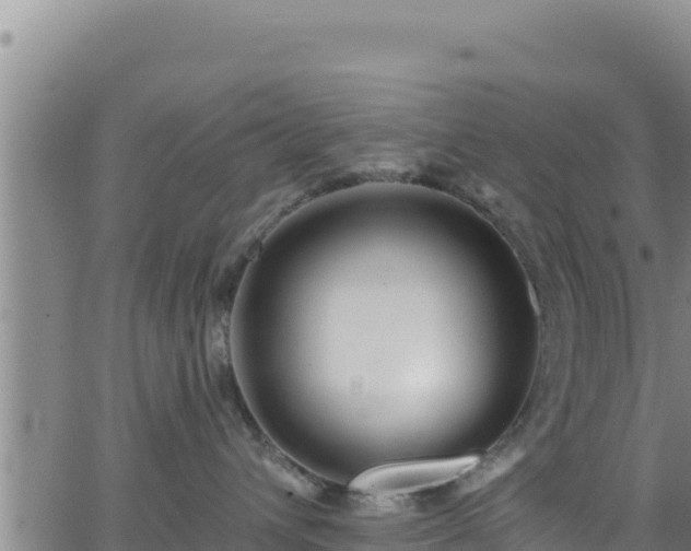 X0000062140432200512161222