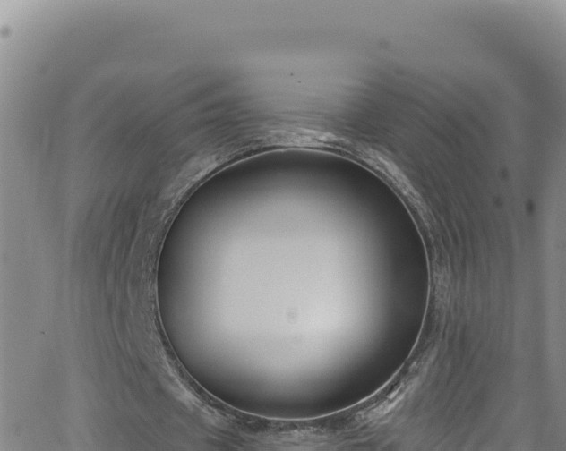 X0000062140433200512161221