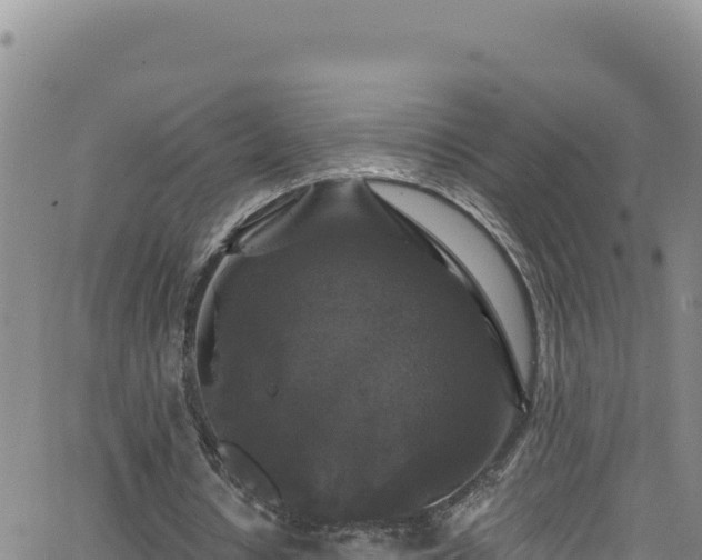 X0000062140434200512161221