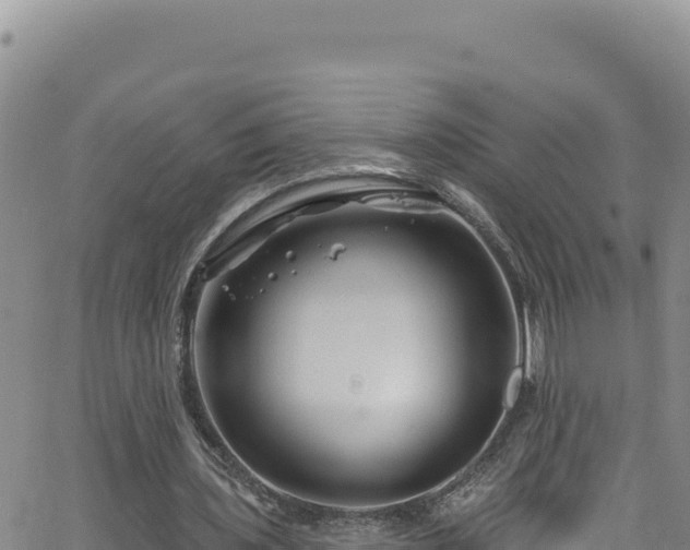 X0000062140435200512161221