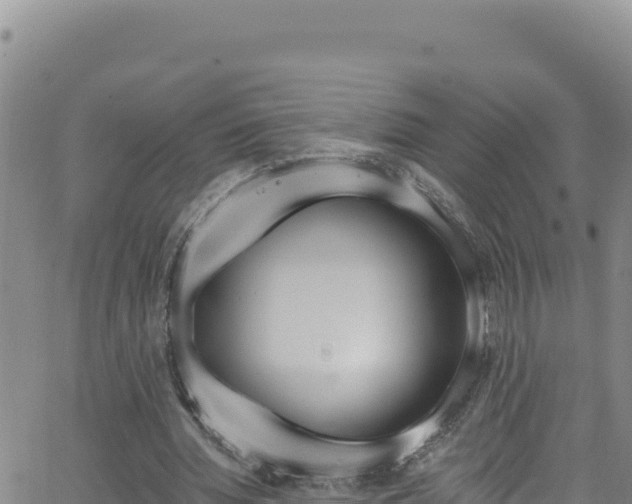 X0000062140436200512161222