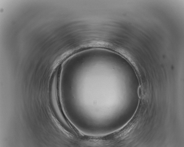 X0000062140437200512161222