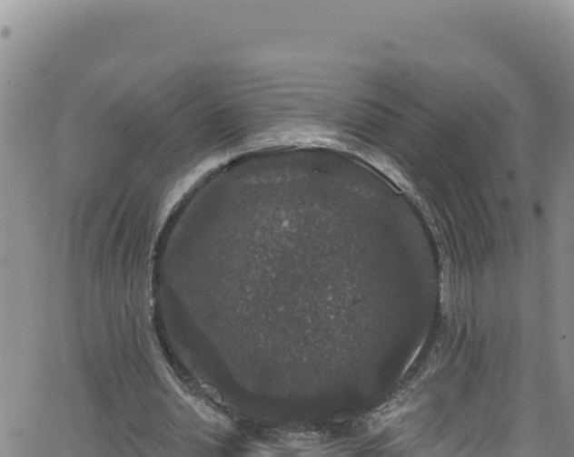 X0000062140438200512161222