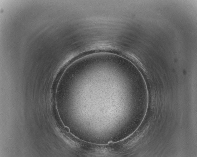 X0000062140439200512161222