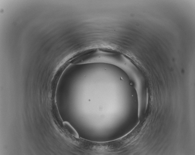 X0000062140440200512161222