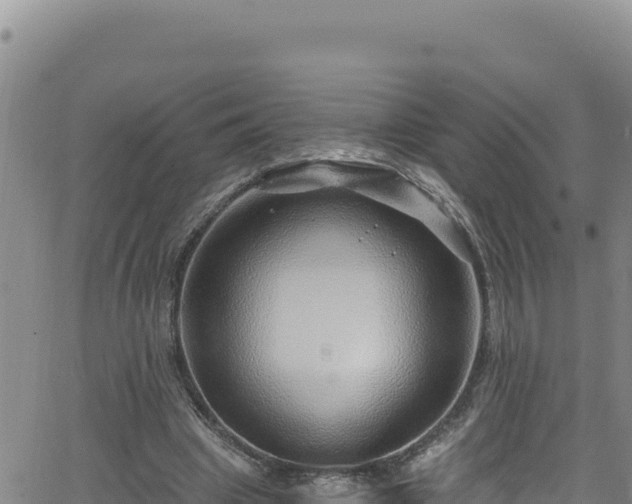 X0000062140441200512161222