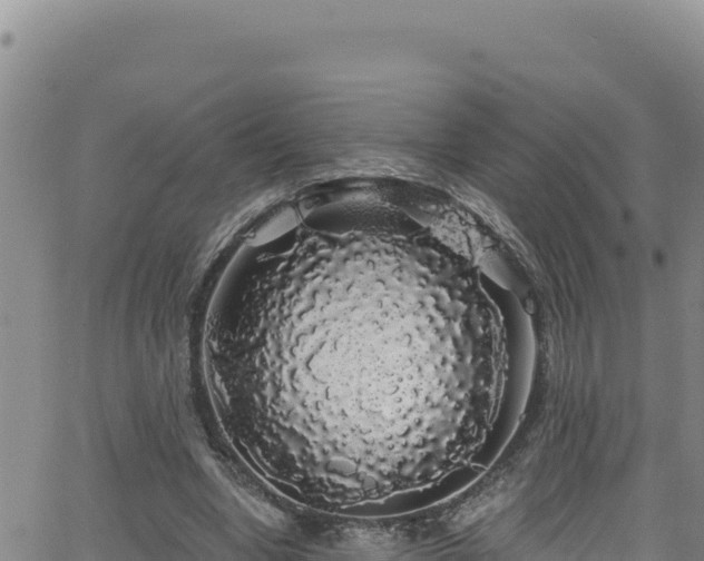 X0000062140442200512161222