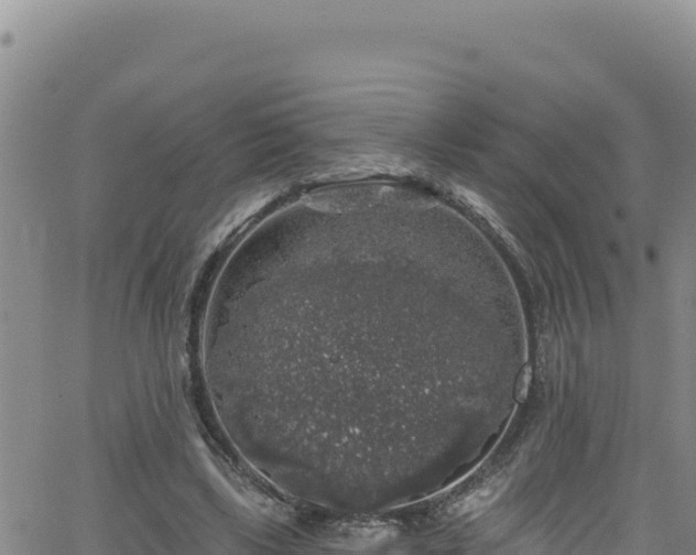 X0000062140443200512161222