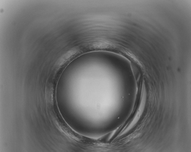 X0000062140446200512161222