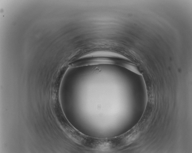 X0000062140456200512161222