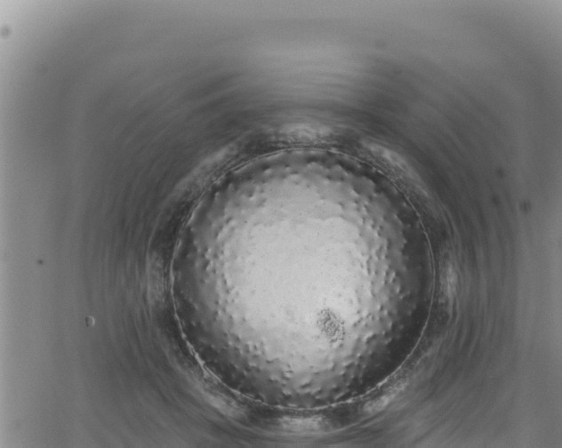 X0000062140457200512161222