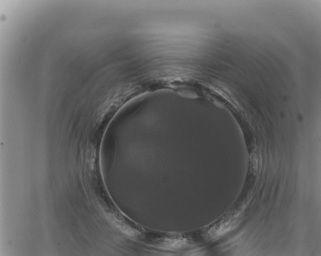 X0000062140458200512161222