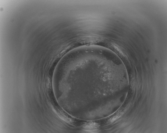 X0000062140459200512161222