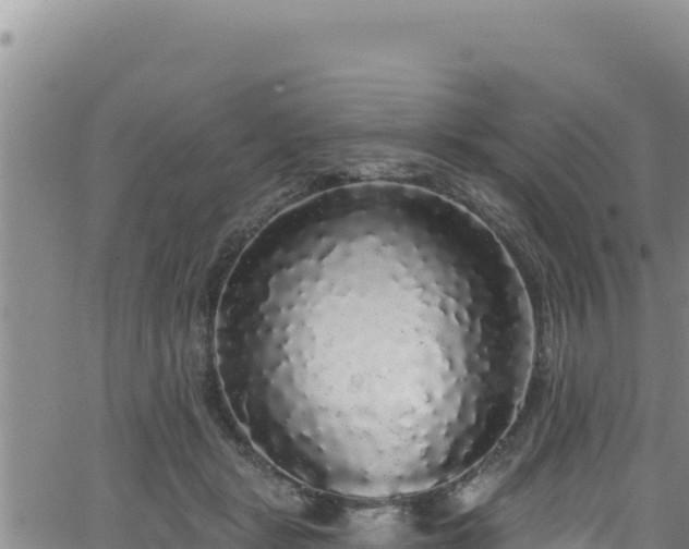 X0000062140461200512161222