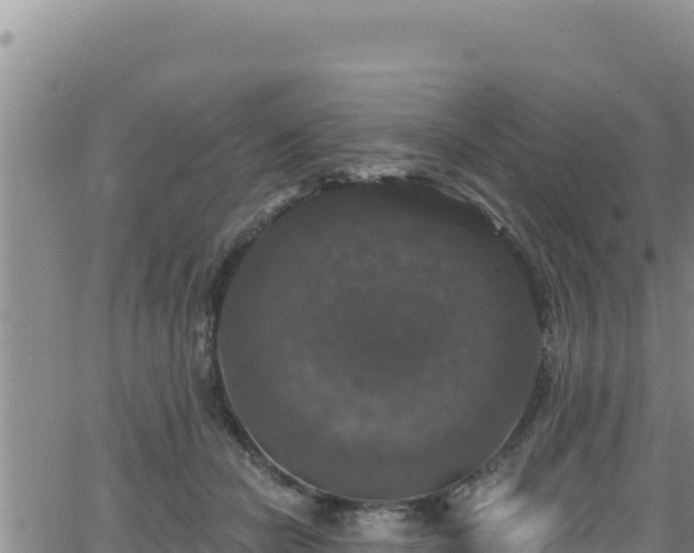 X0000062140462200512161222