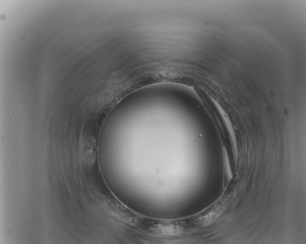 X0000062140464200512161222