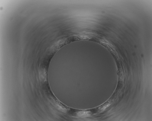 X0000062140465200512161222