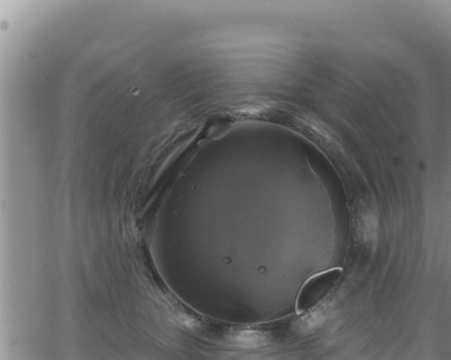 X0000062140467200512161222