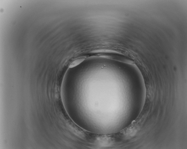 X0000062140470200512161222