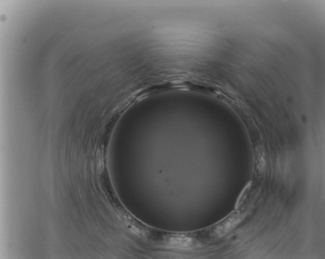 X0000062140471200512161222