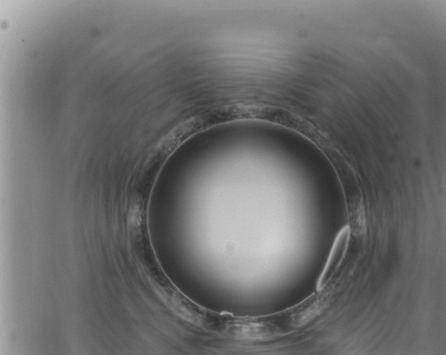 X0000062140472200512161222