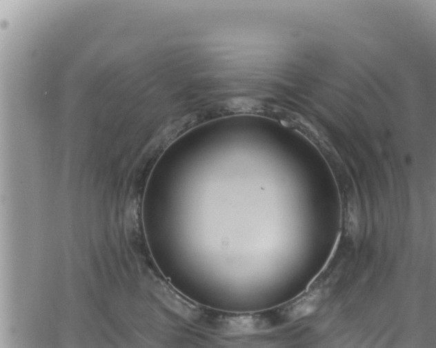 X0000062140473200512161222