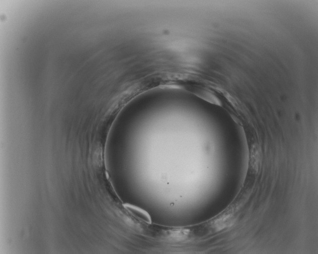 X0000062140474200512161222