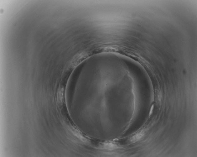 X0000062140475200512161222