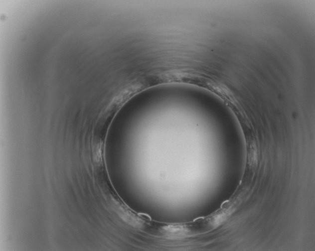 X0000062140477200512161222