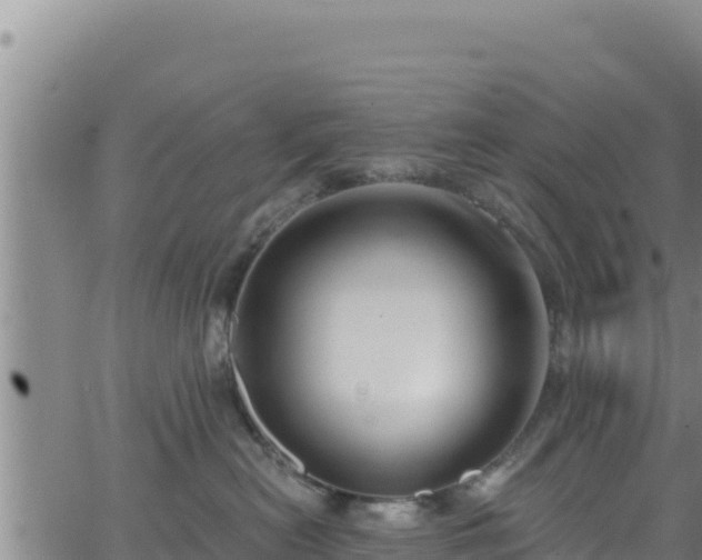 X0000062140478200512161222