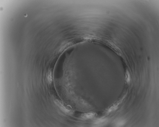 X0000062140479200512161222