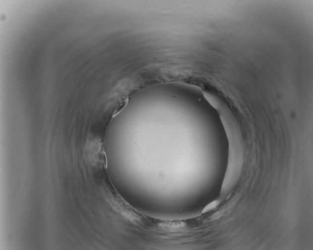 X0000062140480200512161222