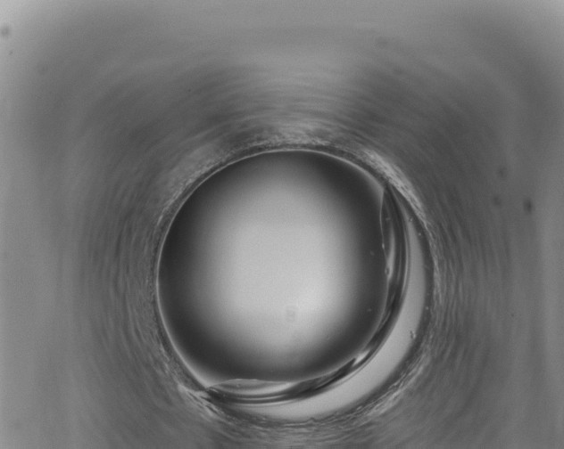 X0000062140481200512161221