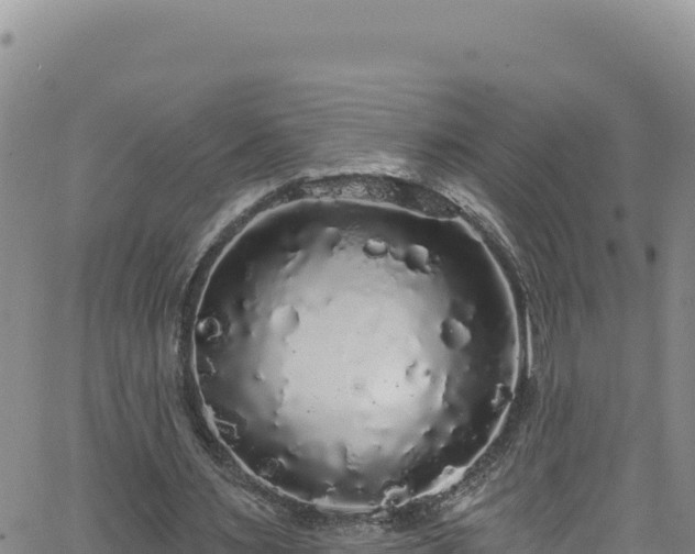 X0000062140483200512161221