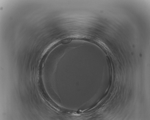 X0000062140484200512161221