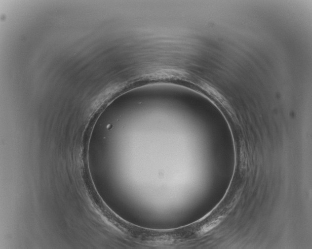 X0000062140485200512161221