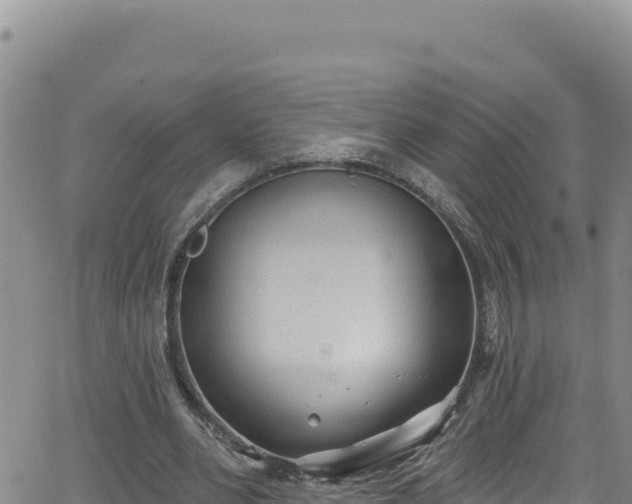 X0000062140486200512161221