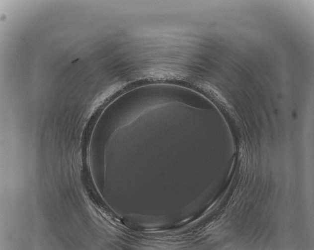 X0000062140488200512161221