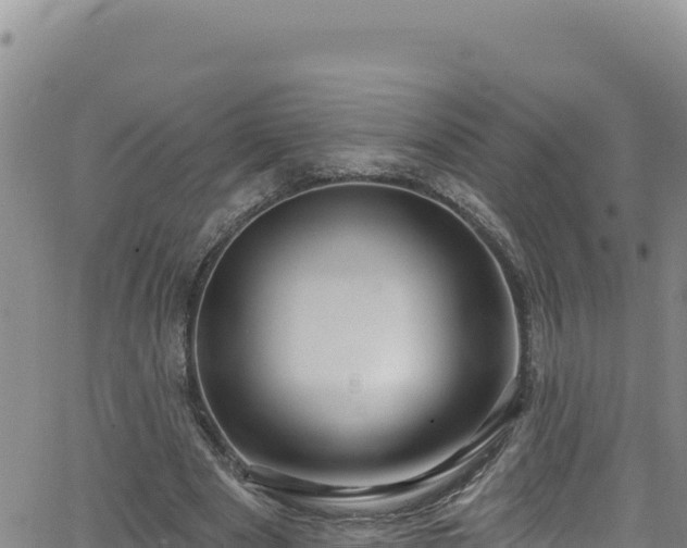 X0000062140489200512161221