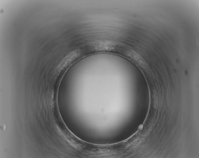 X0000062140490200512161221