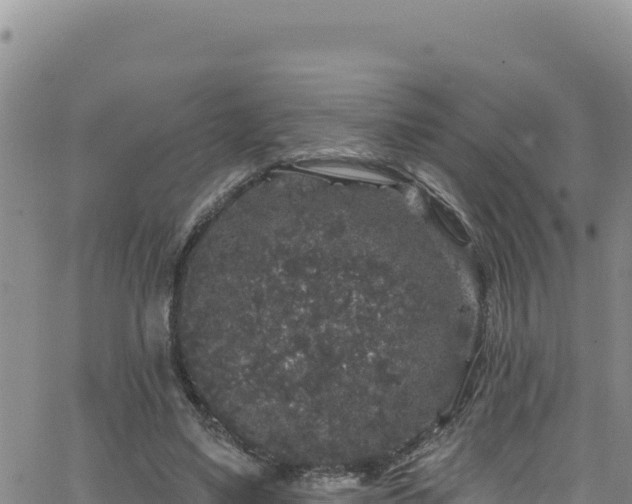 X0000062140491200512161221