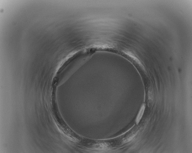 X0000062140492200512161221