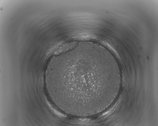 X0000062140493200512161221