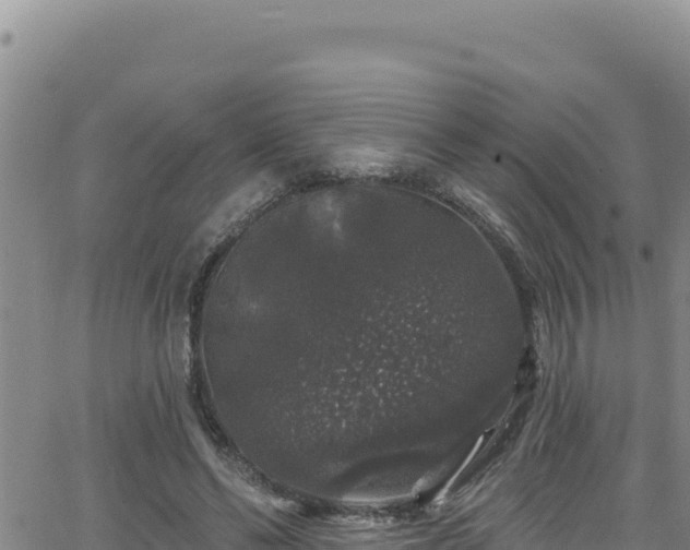 X0000062140494200512161221