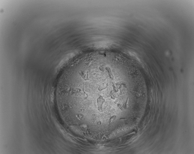 X0000062140495200512161221