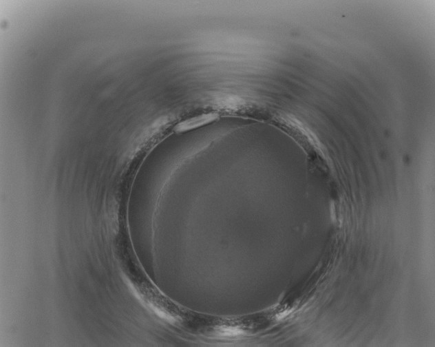 X0000062140496200512161221